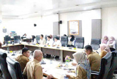 537 Tenaga Honorer di Muba Diusulkan Masuk Skema PPPK Paruh Waktu