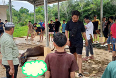 Idul Adha 1447 H: Lebih dari 2 Juta Hewan Kurban Tersebar di Indonesia, Nilainya Tembus Rp18,28 Triliun