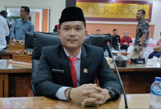 M Faris Anggota DPRD Gen Z, Pemilik Apotek Siap Perjuangkan Aspirasi Anak Muda 