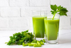 Jus Seledri: Manfaat Kesehatan dan Risiko yang Perlu Diketahui