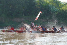 Bidar di Sungai Lematang Payuputat Prabumulih: Upaya Lestarikan Budaya, Dongkrak Ekonomi Warga