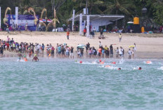 Indonesia Raih Emas di Estafet 2nd SEA Open Water Swimming 2024