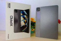 Tablet Tangguh dengan Chipset Gahar, Infinix Xpad Jadi Salah Satu Incaran
