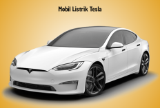 Persaingan EV Memanas! Tesla Garap Mobil Listrik Harga Murah