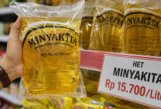 Minyakita Tetap Rp15.700 per Liter, Pemerintah Genjot Distribusi dan Ketersediaan Stok