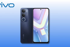 Vivo Y19s: Ponsel Stylish dengan Kamera 48MP dan Baterai Tahan Lama
