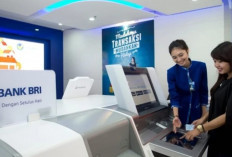 Kredit Korporasi BRI Melonjak 15,64% di Semester I 2025, Perkuat Ekspansi Sektor Produktif