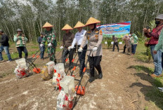 Polres Prabumulih Tanam Jagung Bisi 18, Langkah Nyata Dukung Ketahanan Pangan