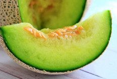 Selain Lezat dan Menyegarkan, Ini 5 Manfaat Buah Melon, Sumber Serat yang Baik