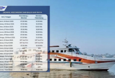 Mudik Nyaman! Express Bahari Sediakan 406 Seat untuk Rute Palembang - Mentok