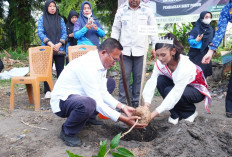 Peringati Hari Lingkungan Hidup Sedunia 2026, Wali Kota Prabumulih H Arlan Tanam Pohon - Bagikan Ribuan Bibit 