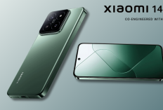 Xiaomi 14 Turun Harga Juni 2025: Flagship Snapdragon 8 Gen 3 Kini Cuma Rp11 Jutaan!