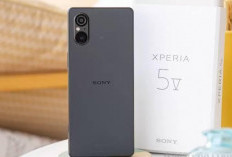 Smartphone Premium Sony Xperia 5V, Bawa Spesifikasi Memukau dan Flagship Terbaik
