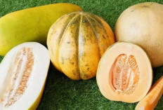 Pilihan Buah Sehat untuk Menu Berbuka di Rumah