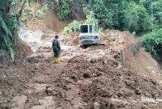 Bencana Longsor di Desa Sri Tanjung: Jalan Utama Terhalang, Warga Terisolasi