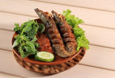 Ikan Lele: Kaya Nutrisi, Murah, dan Penuh Manfaat Kesehatan