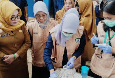 Makanan Bergizi Gratis Palembang Dikirim Aman Pakai Mobil Box