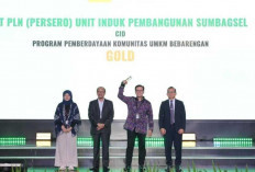 PT PLN Raih 2 Penghargaan Gold dan Silver