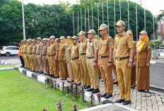 Wali Kota Prabumulih Cak Arlan Tegaskan Disiplin ASN demi Pelayanan Publik Berkualitas