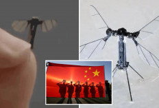 China Kembangkan Drone Mini Seukuran Nyamuk untuk Misi Mata-mata