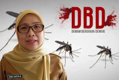 Genangan Air Picu DBD, Warga Muara Enim Diminta Rutin Terapkan 3M