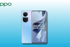 Oppo Reno10 5G: Layar AMOLED 6,7 Inci dan Kamera Pro dengan Harga Terjangkau