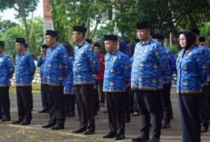 BPK Temukan ASN Banyuasin Terima Honor, Padahal Sudah Dapat TPP