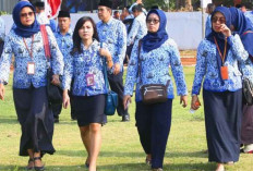 UU ASN Baru Belum Jadi Solusi Terbaik, Honorer K2 Teknis Administrasi Merasa di-PHP