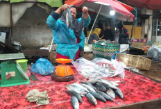 Harga  Ikan Tongkol hingga Bawang di Pasar Prabumulih Mulai Naik 