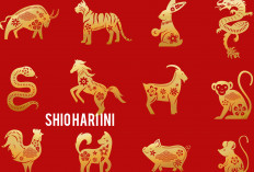 Ramalan Shio Hari Ini, Senin 1 Juli 2025: Shio Naga Bersinar Terang, Shio Anjing Perlu Lebih Waspada