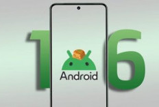 Update Besar-Besaran! 61 Perangkat Xiaomi, Redmi, dan Poco Ini Siap Jajal Android 16, Punyamu Kebagian?