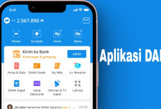 Enam Aplikasi yang Diklaim Menghasilkan Saldo DANA, Layakkah Dicoba?
