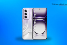 Makin Canggih! Oppo Reno 12 Pro Hadir dengan Performa Gahar dan Kamera Superior
