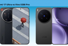 Adu Kamera Flagship Terbaru: Xiaomi 17 Ultra vs Vivo X300 Pro, Mana Paling Unggul?