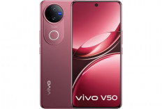Vivo V50 Siap Hadir di Indonesia dengan Performa Tangguh dan Fitur Canggih