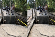 Pasang Jembatan Darurat dari Kayu : Akibat Jalan Penghubung Prabumulih - Pali Rusak Parah 