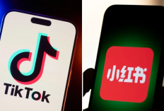 TikTok Selamat dari Pemblokiran, RedNote Kehilangan Pengguna di AS