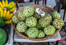 Membantu Menjaga Kesehatan Kulit, Ini 4 Manfaat Buah Srikaya 