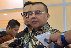 Tunggu Arahan Prabowo, DPR Soroti Rencana Impor Kendaraan Massal