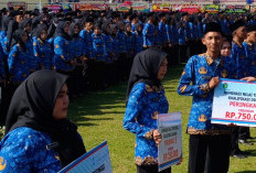 154 Honorer R3 Prabumulih Gagal PPPK Diusulkan Jadi Paruh Waktu: Tetap Digaji hingga Pelantikan