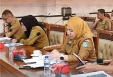 DPRD Ogan Ilir Dorong Perusahaan Aktif Dukung Ekonomi Daerah Lewat CSR