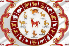 Ramalan Shio Macan, Shio Naga, Shio Kelinci, Shio Monyet, Shio Kambing 