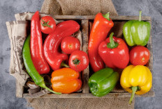 Paprika Merah, Rahasia Alami untuk Tingkatkan Kekebalan Tubuh
