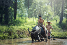 Baru Tau? Ini 4 Jenis Sedekah Adat di Sumatera Selatan, Nomor 2 Masih Lestari