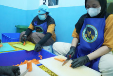 Tak Hanya Soal Gizi, BGN Tekankan Pengelolaan Limbah Jadi Kunci Sukses Program MBG