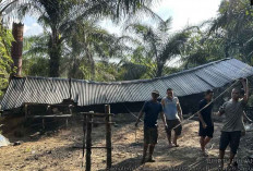 Masih Bandel! 33 Lokasi Penyulingan Minyak Ilegal di Babat Toman Didatangi Tim Gabungan