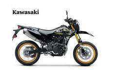 Kawasaki KLX230SM SE Vs KLX230SM, Pilihan Motor Special Edition 