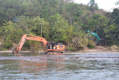 Tiga Alat Berat Tambang Ilegal Ditemukan Tersembunyi di Hutan Muara Enim