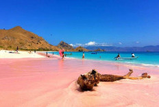 Keajaiban Pantai Pink di Indonesia: Destinasi Eksotis dengan Pasir Merah Muda