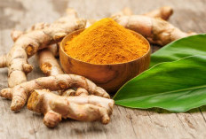Tak Hanya Bumbu Masak, Ini 3 Manfaat Kunyit bagi Tubuh